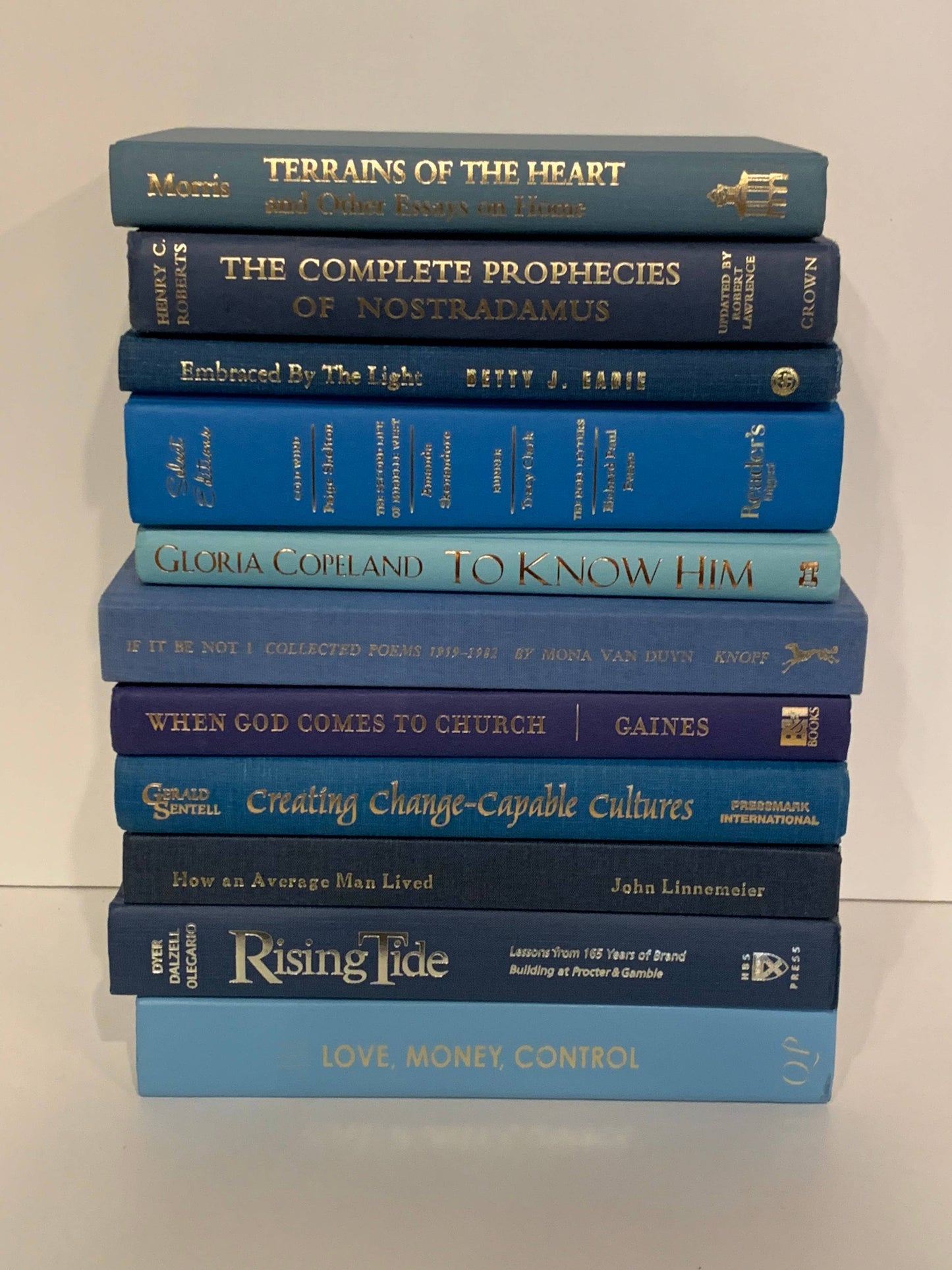 Blue books with gold titles by the foot for decor