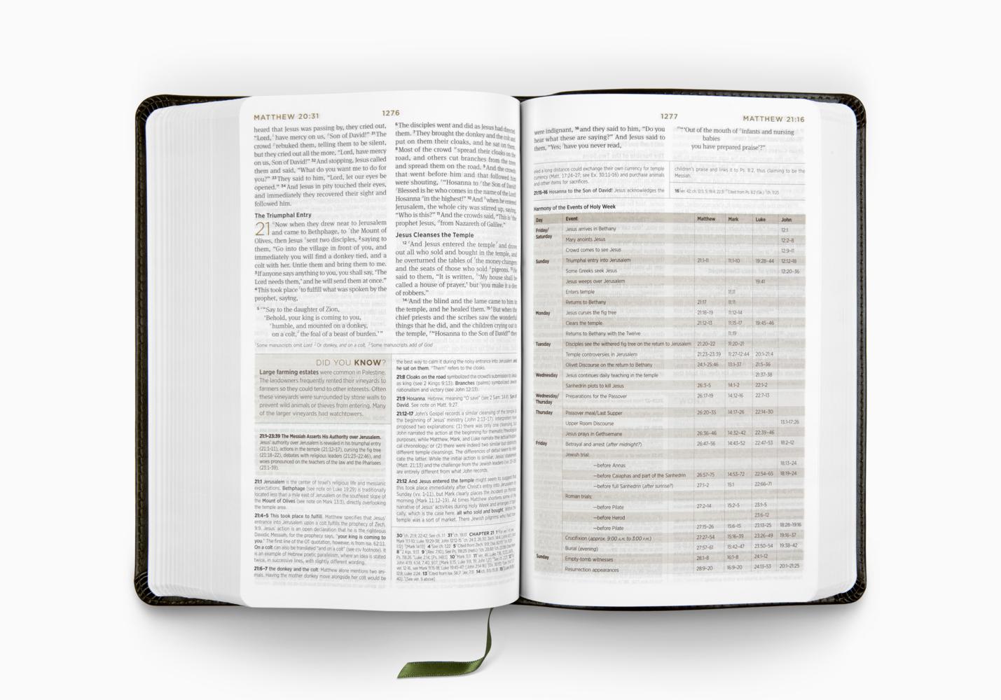 ESV Student Study Bible: Celtic Cross