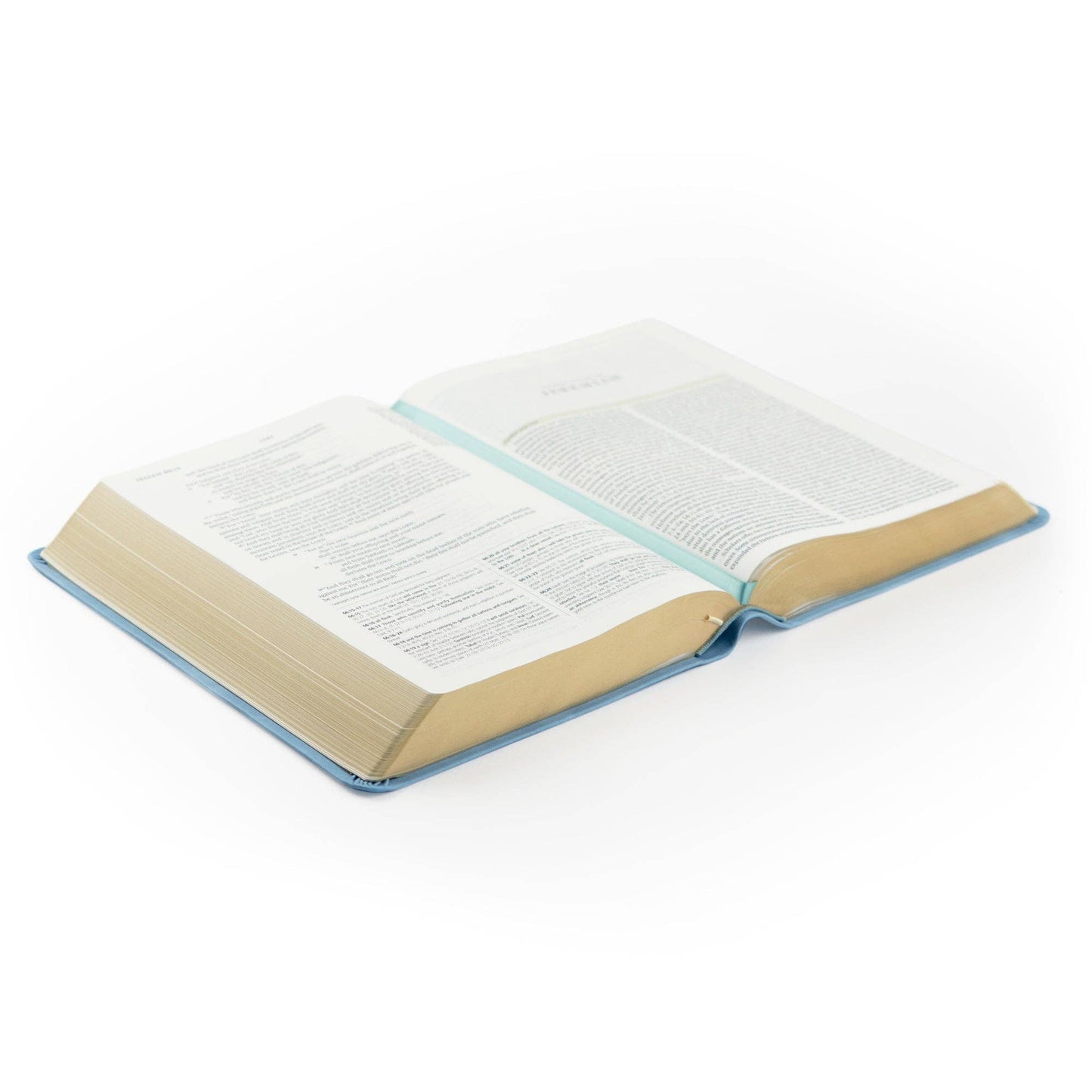 ESV Study Bible: Bethany Theme