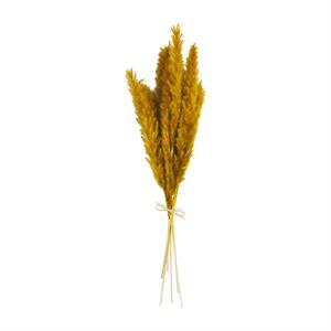 Fall Pampas Bundle