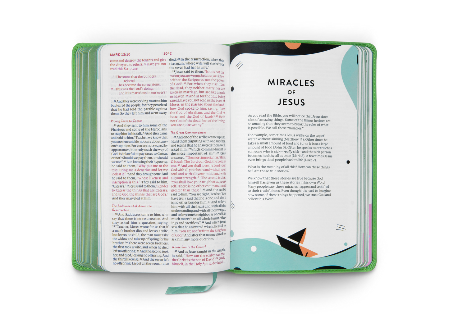 ESV Kid's Thinline Bible: Green