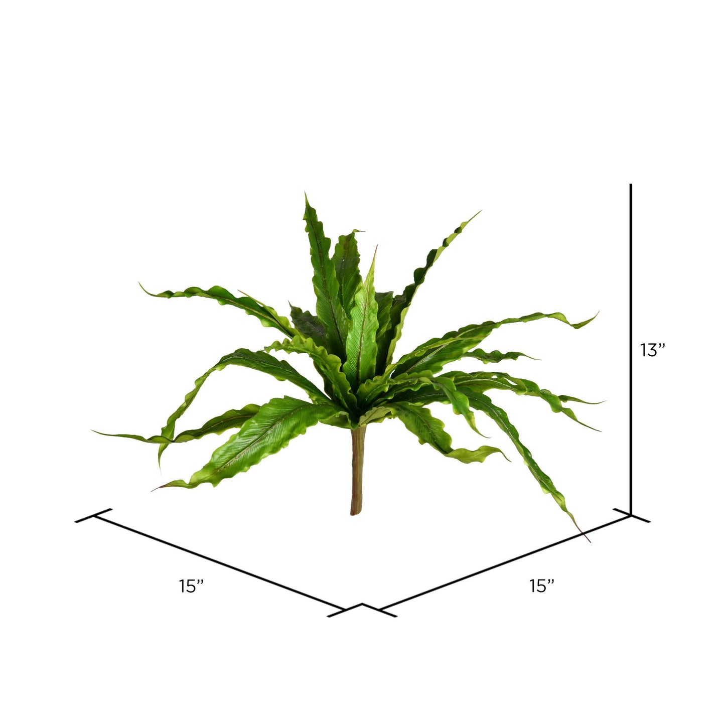 Vickerman 13" Artificial Green Bird Nest Fern Bush.: Green / Plastic / 13"