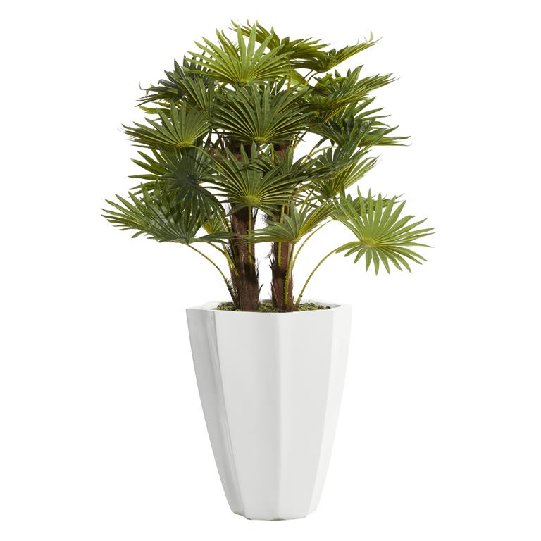 Palm Leaves with White Pot