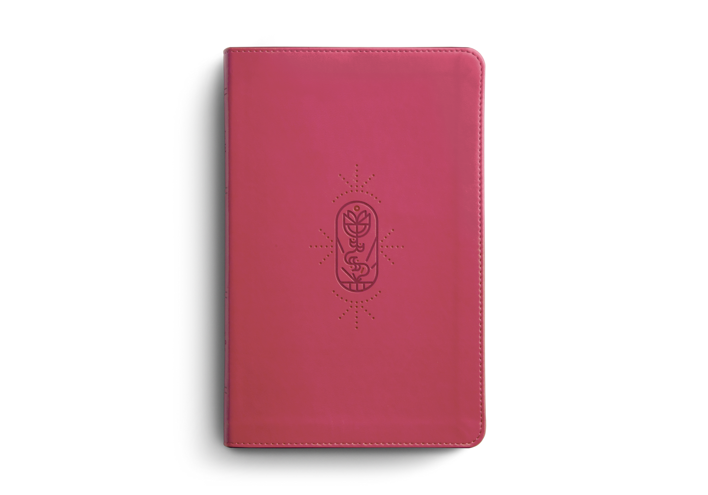 ESV Kid's Thinline Bible: Pink