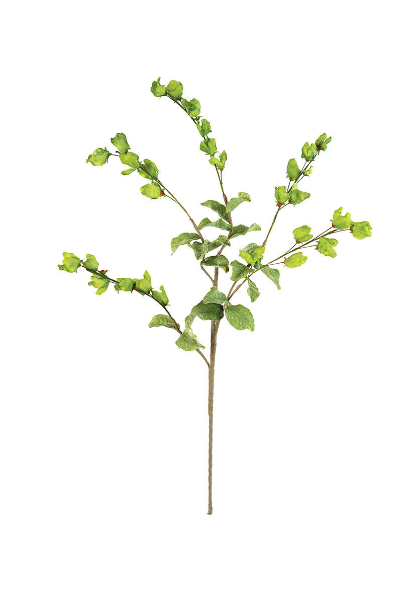 Green Leafy Limb