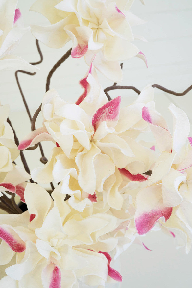 White and Red Blossoms