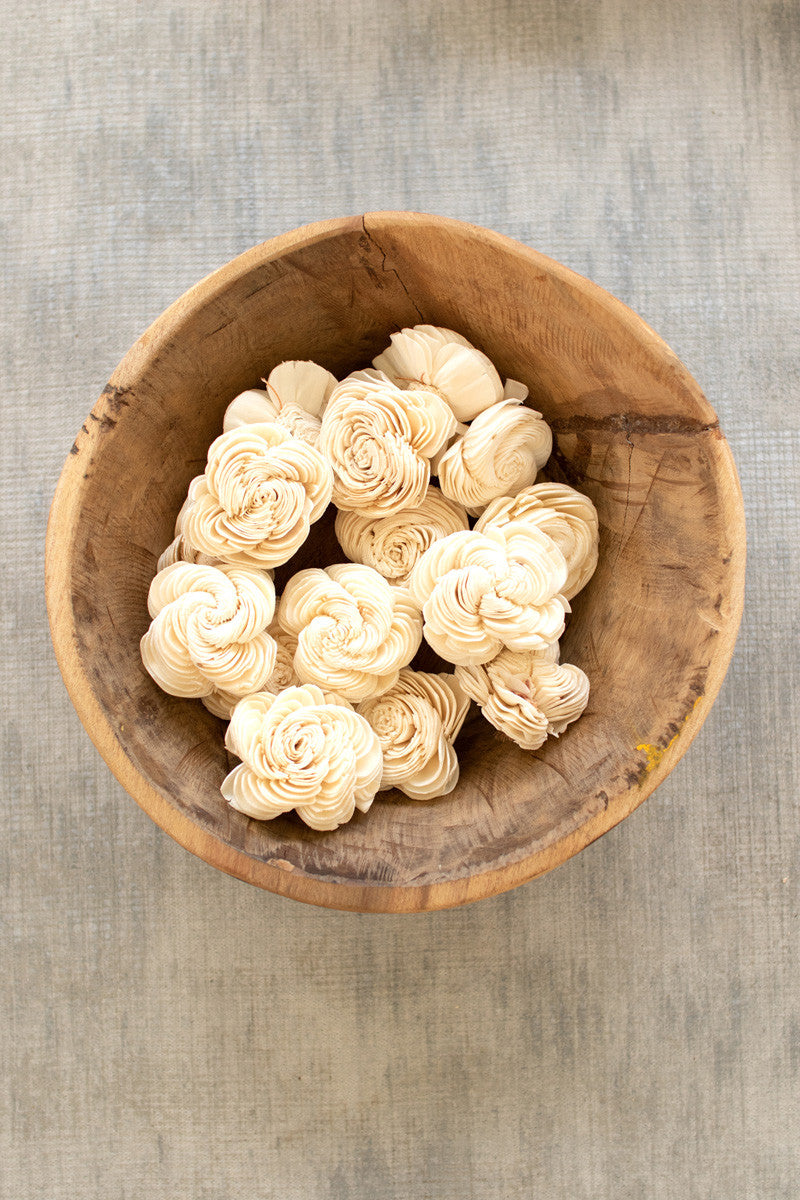 Bag of 16 Dried Flowers