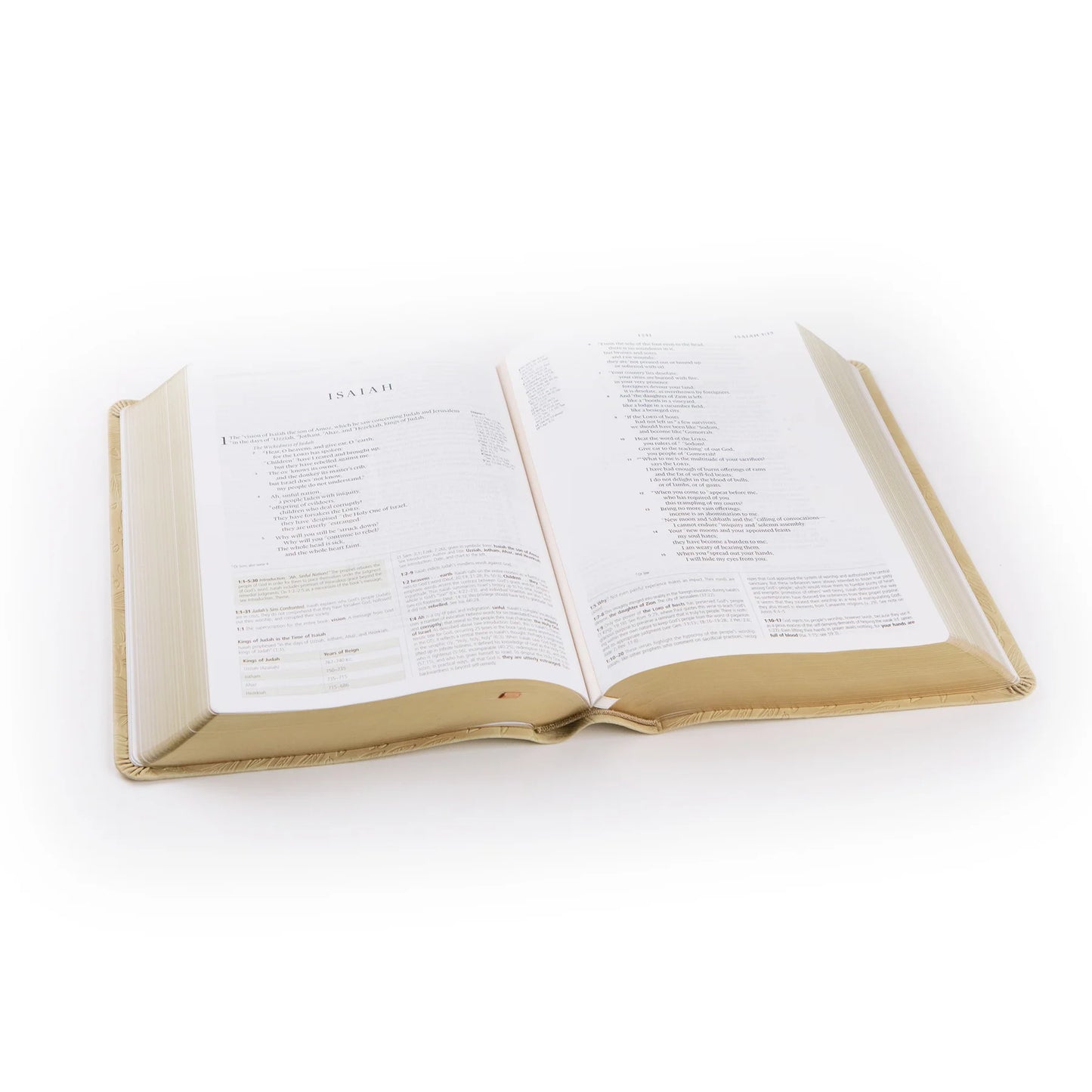 ESV Study Bible Sonora Theme