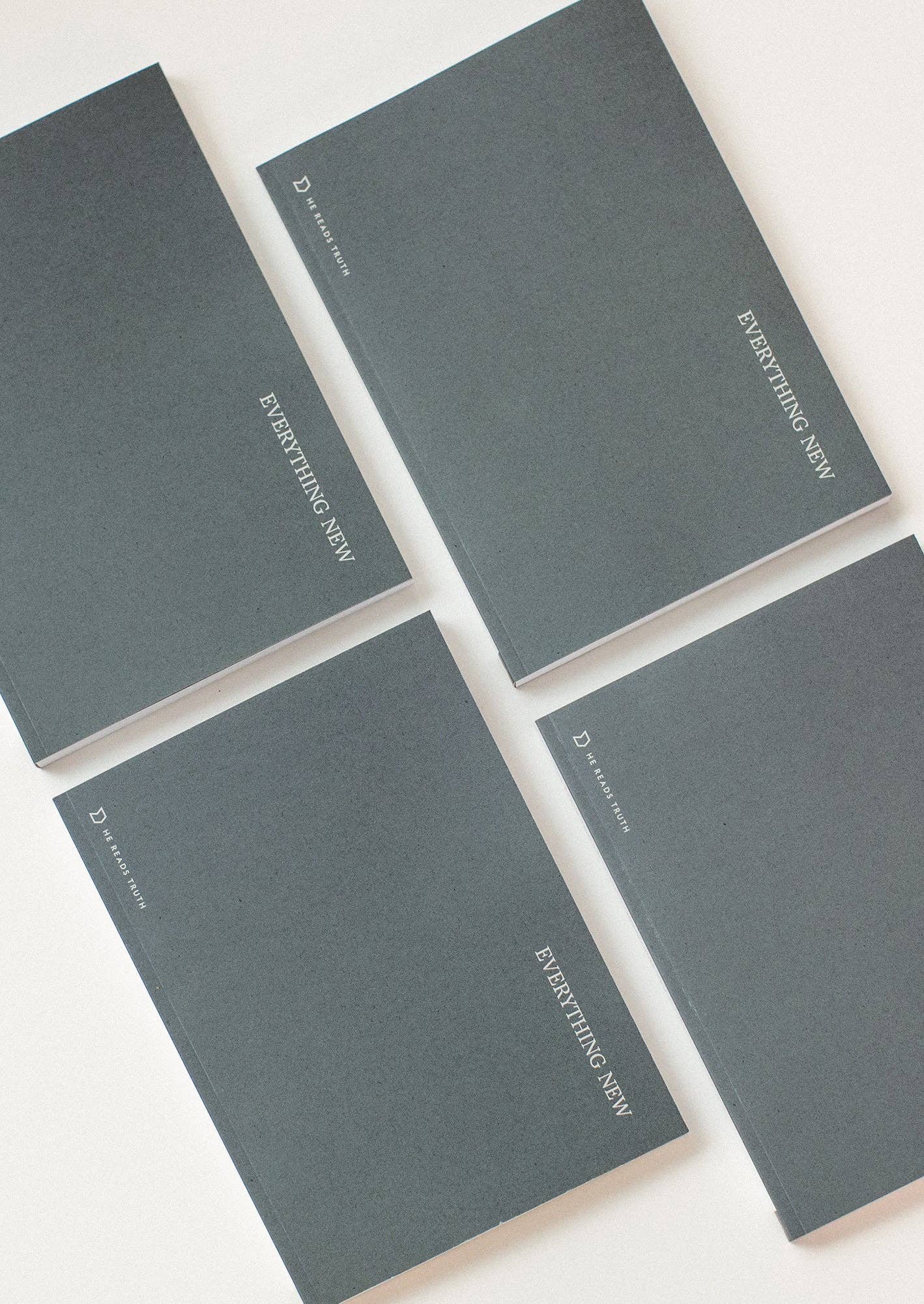 Everything New Men's Reading Guide