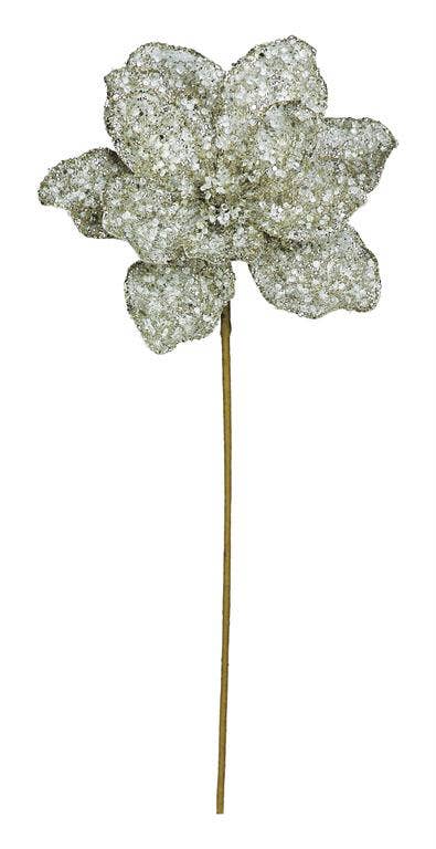 Beaded, #XG903-PT