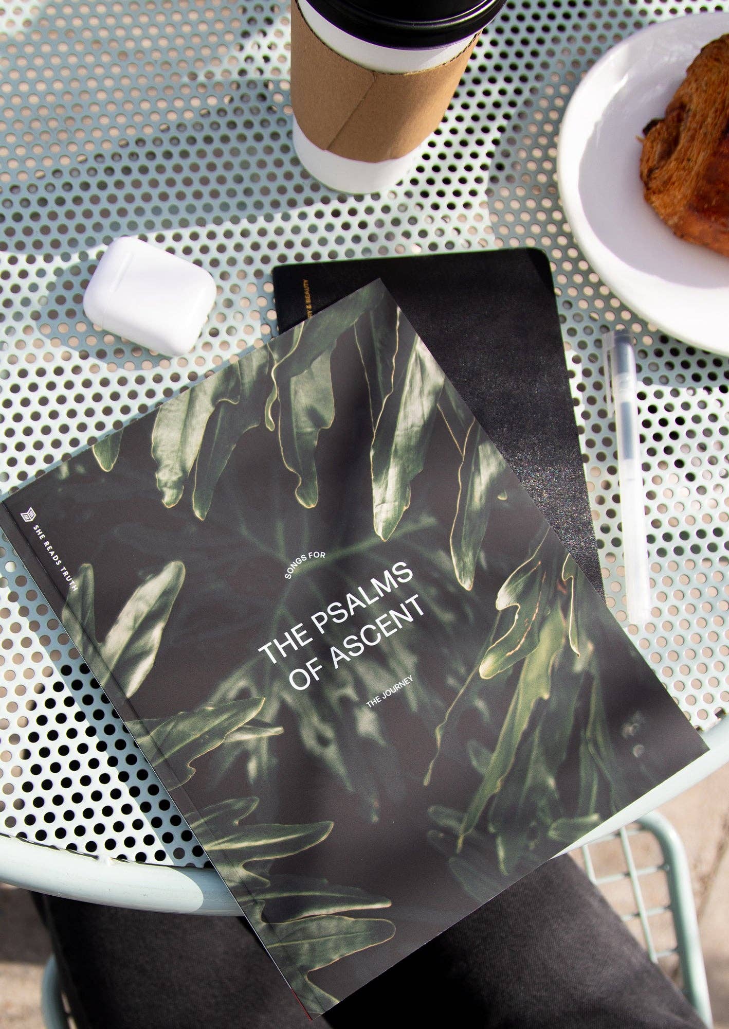 The Psalms of Ascent Women's Reading Guide
