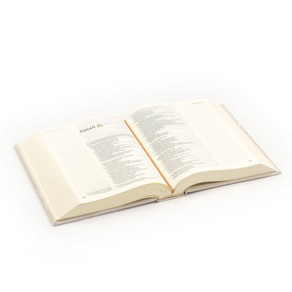 NLT Notetaking Bible : Cordova Theme