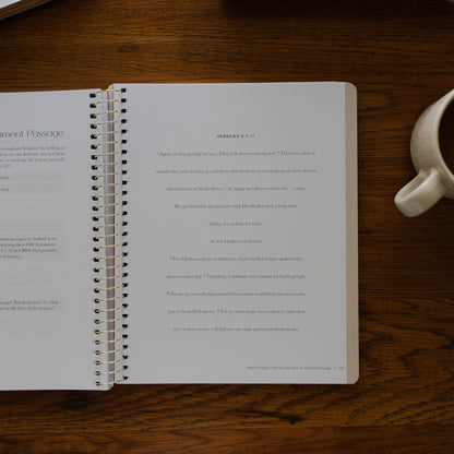 Christ in All of Scripture | Volume 2