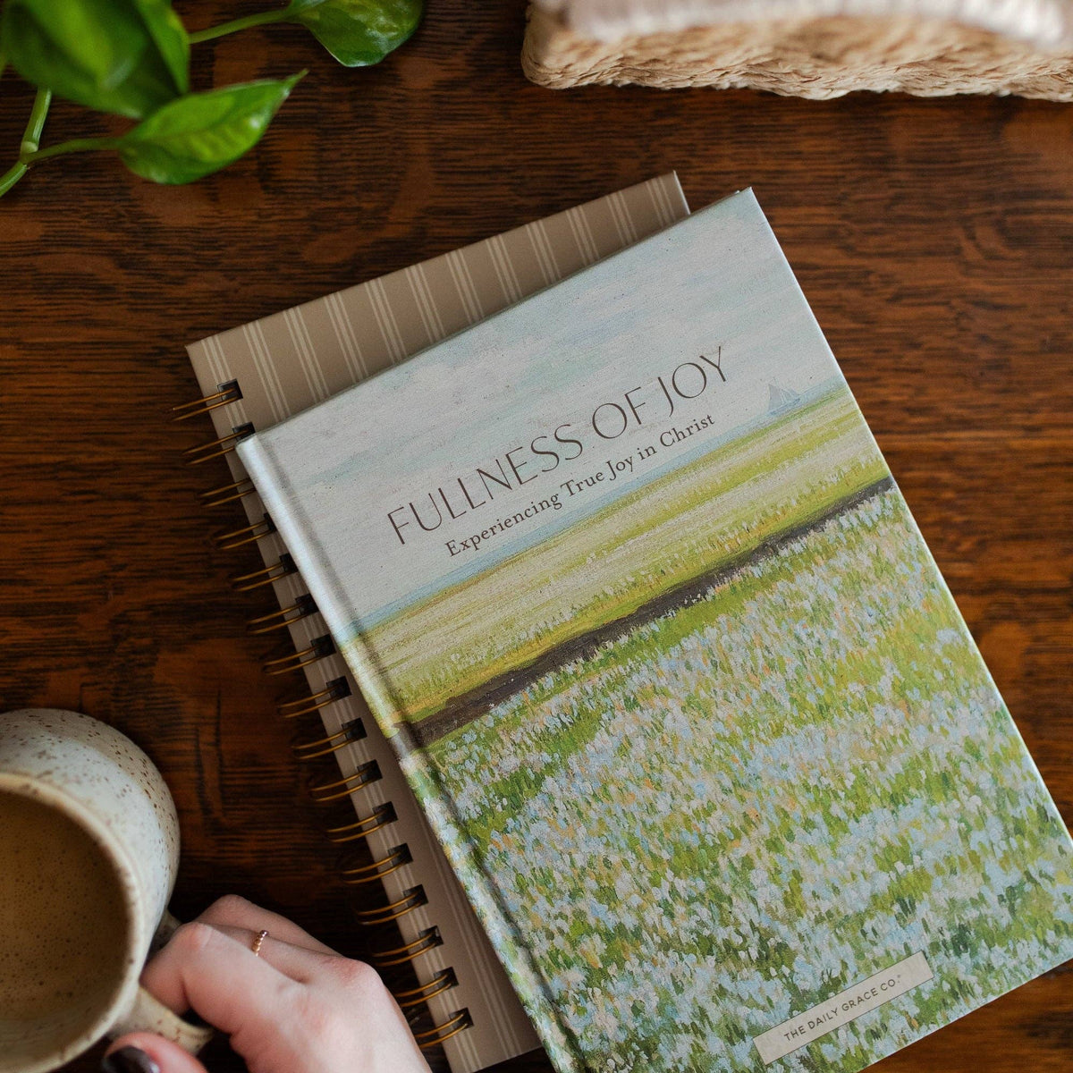 Fullness of Joy