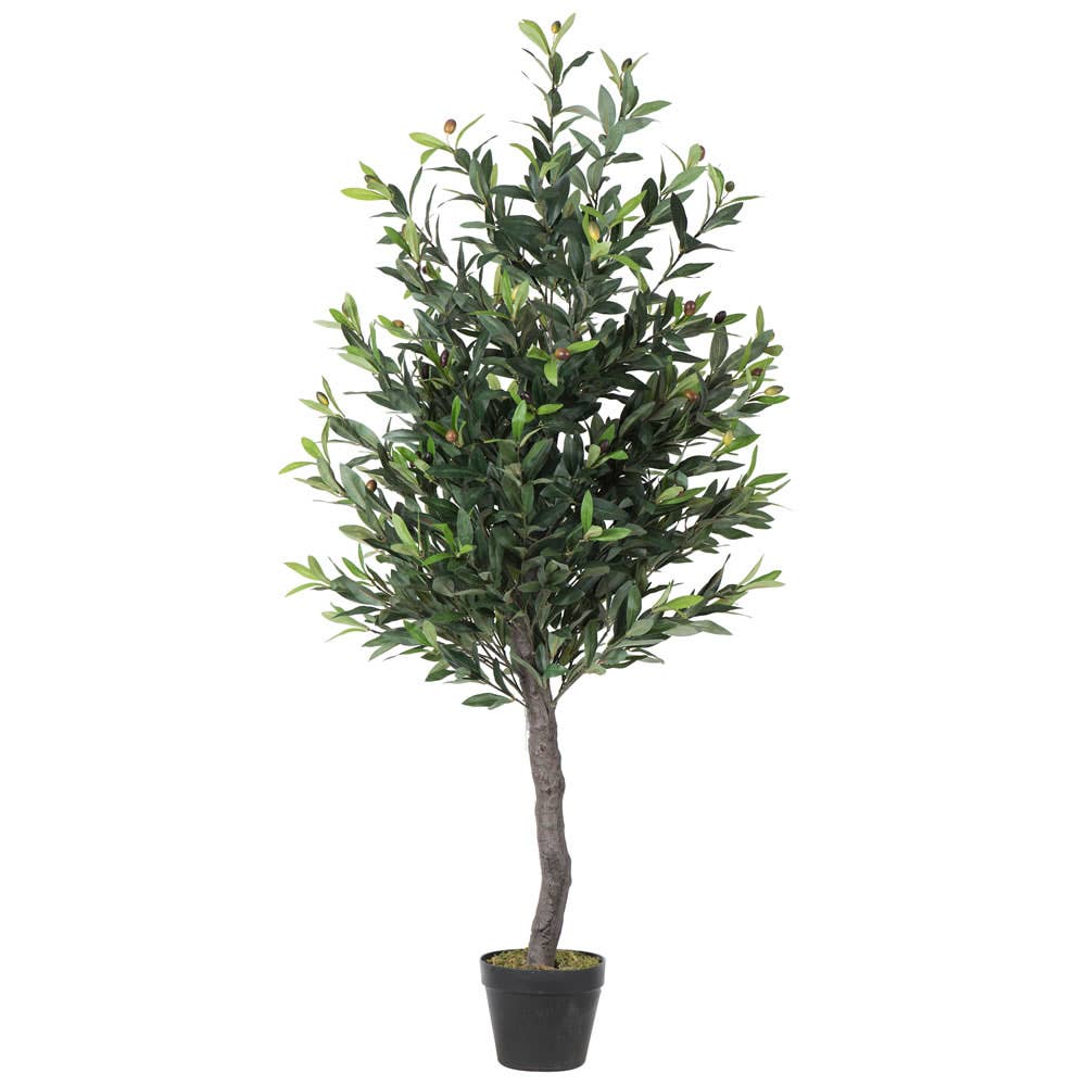 Vickerman 50" Olive Tree In Pot: Green / PE / 50"