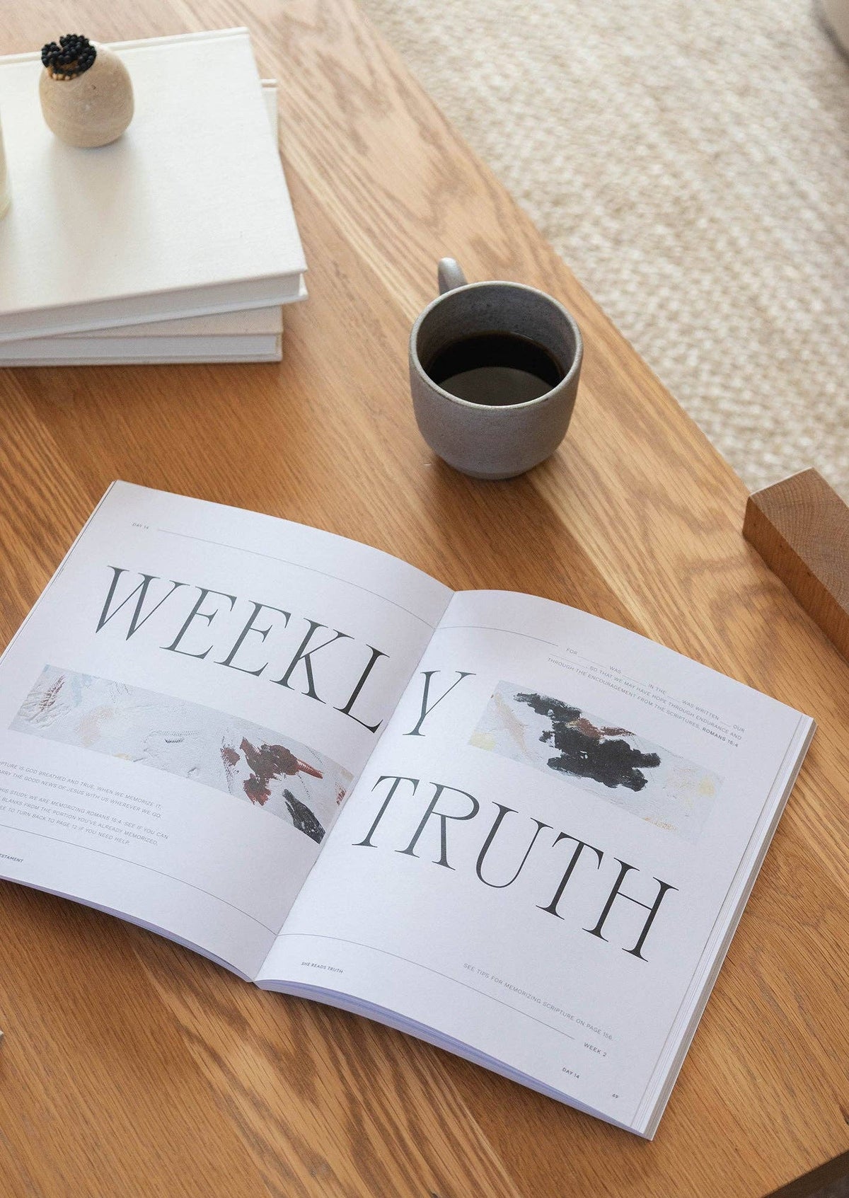 People in the New Testament Women's Reading Guide