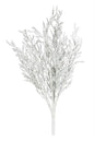 Frosty Cedar Spray, #XD481-W