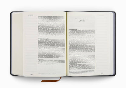ESV Single Column Journaling Bible®, Artist Series, Joshua