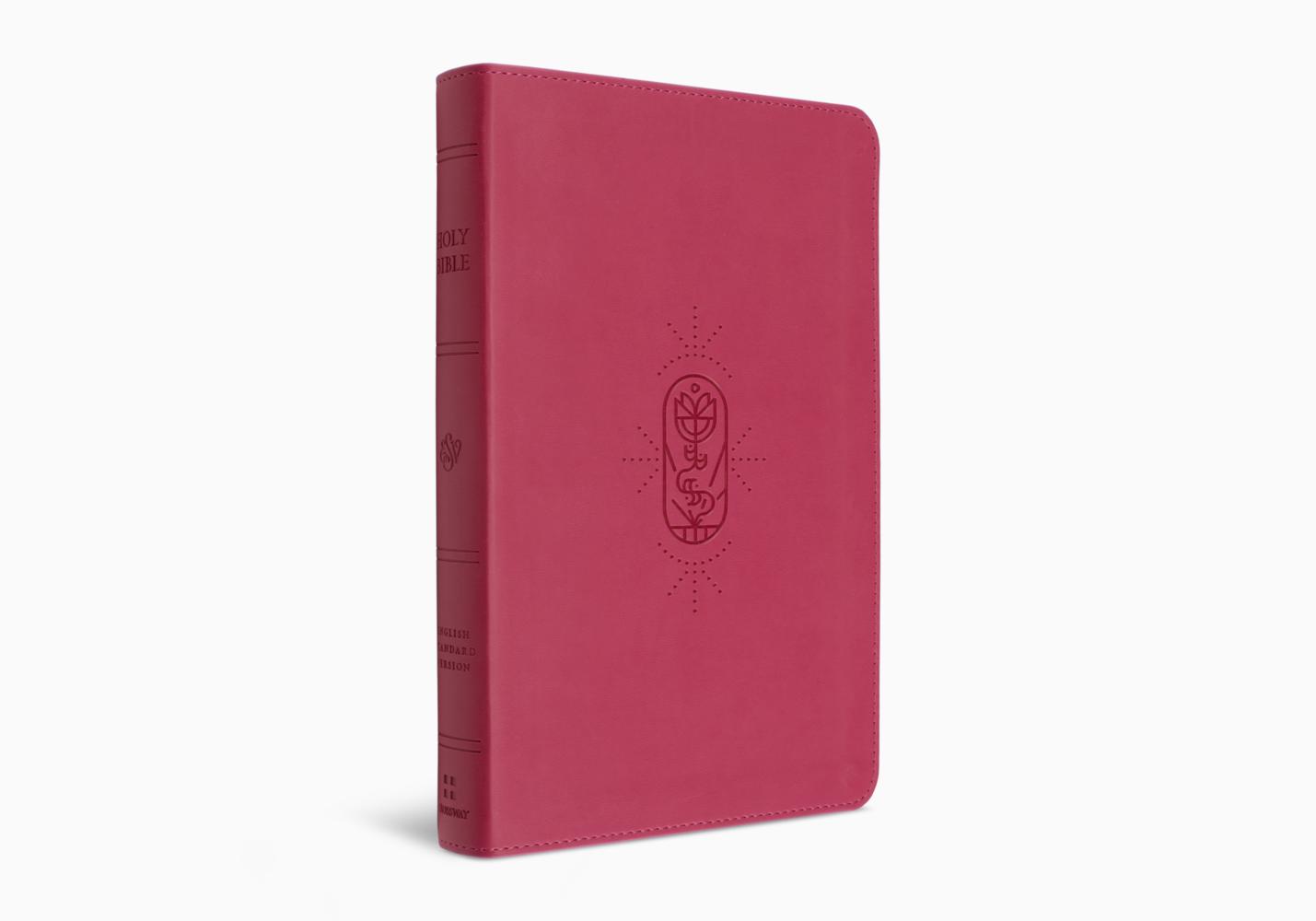 ESV Kid's Thinline Bible: Pink