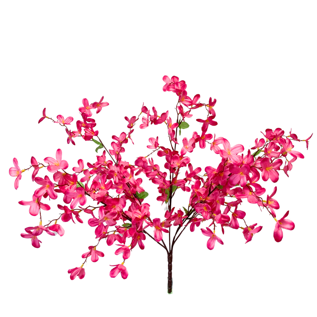 Tweedia Bush x 5 - 24” - Hot Pink