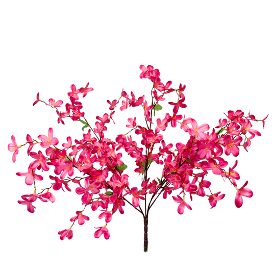 Tweedia Bush x 5 - 24” - Hot Pink