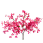 Tweedia Bush x 5 - 24” - Hot Pink