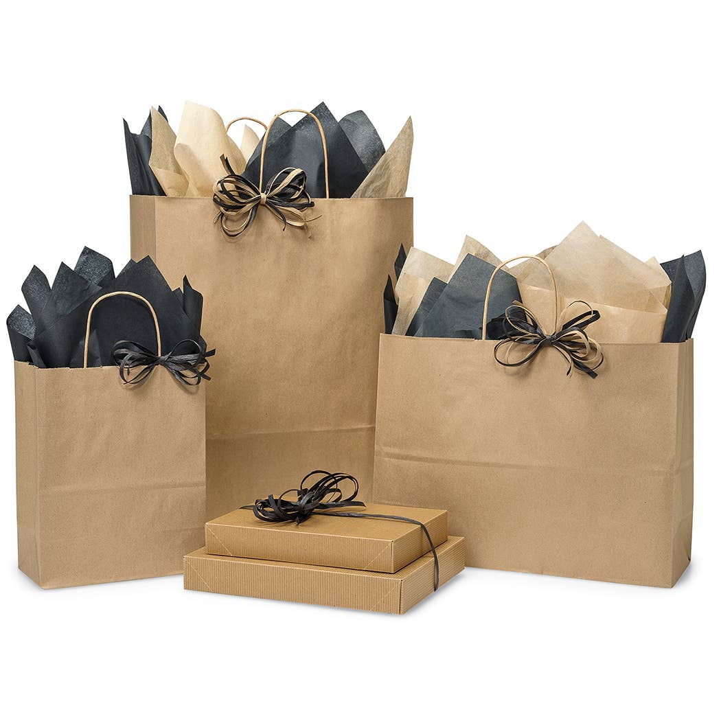 Brown Kraft Paper Shopping Bags: 250 Pack / Cub 8x4.75x10"