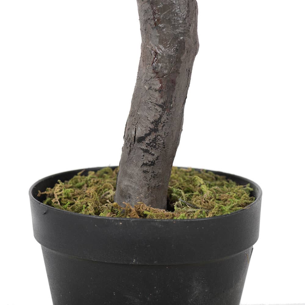 Vickerman 50" Olive Tree In Pot: Green / PE / 50"