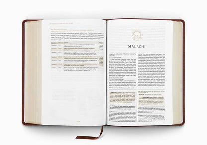 ESV Men's Study Bible: TruTone®, Brown