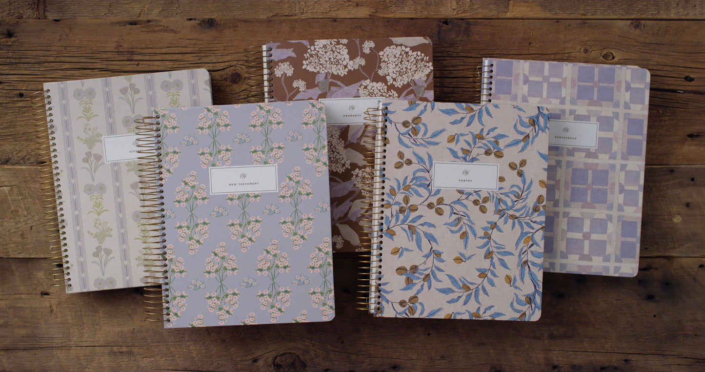 ESV Spiral-Bound Journaling Bible, Five-Volume Set, Artist