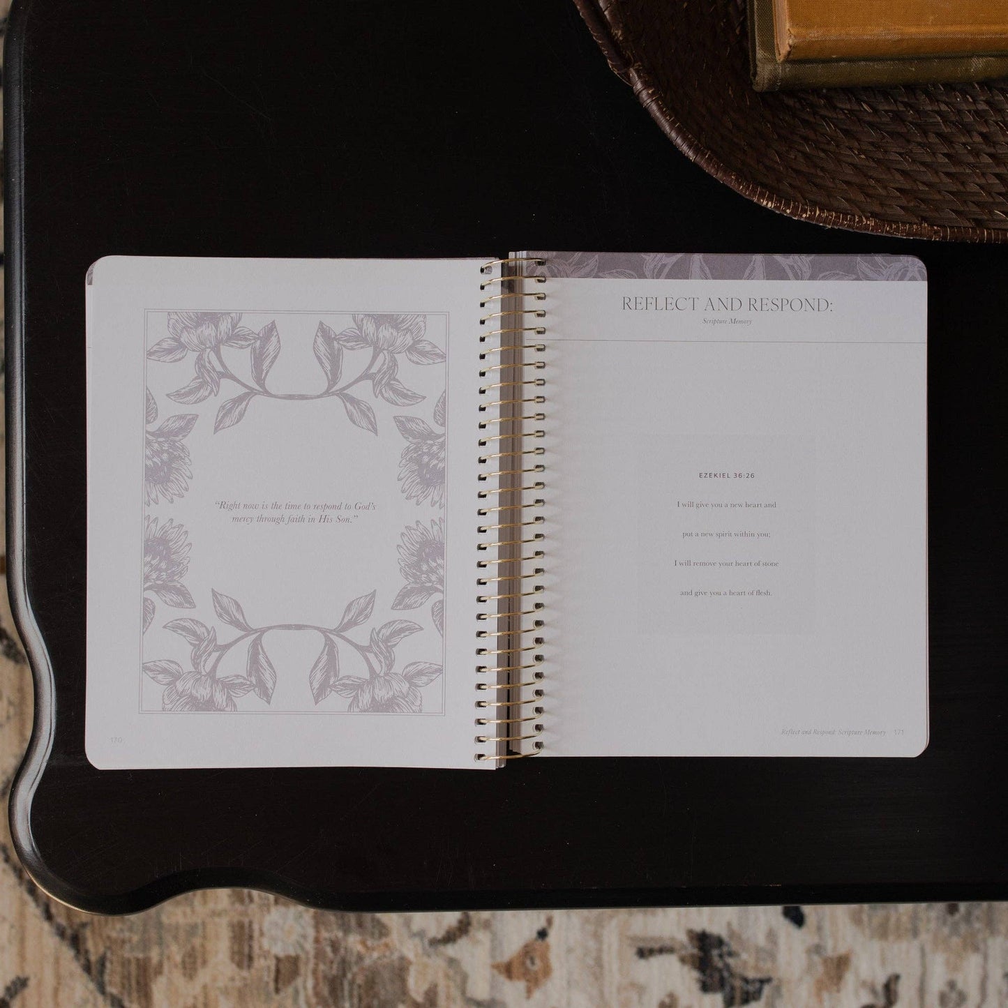 A Year in the Bible | 365 Days of Discovering the Beauty of Jesus from Genesis to Revelation | Volume 3