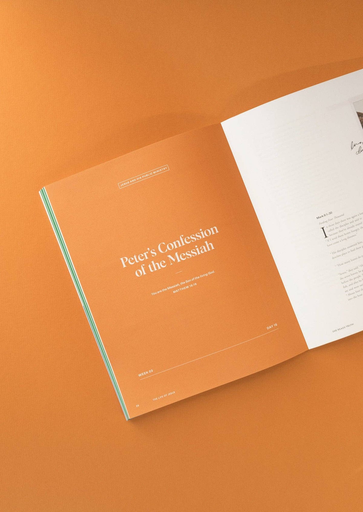 The Life of Jesus Women's Reading Guide