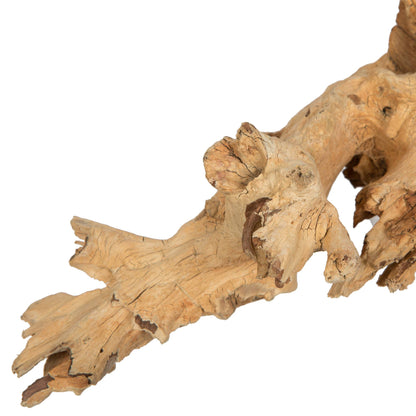Vickerman 9-12" Bleached Amazonian Root Small 1Pc: Bleached / Wood / 9-12"