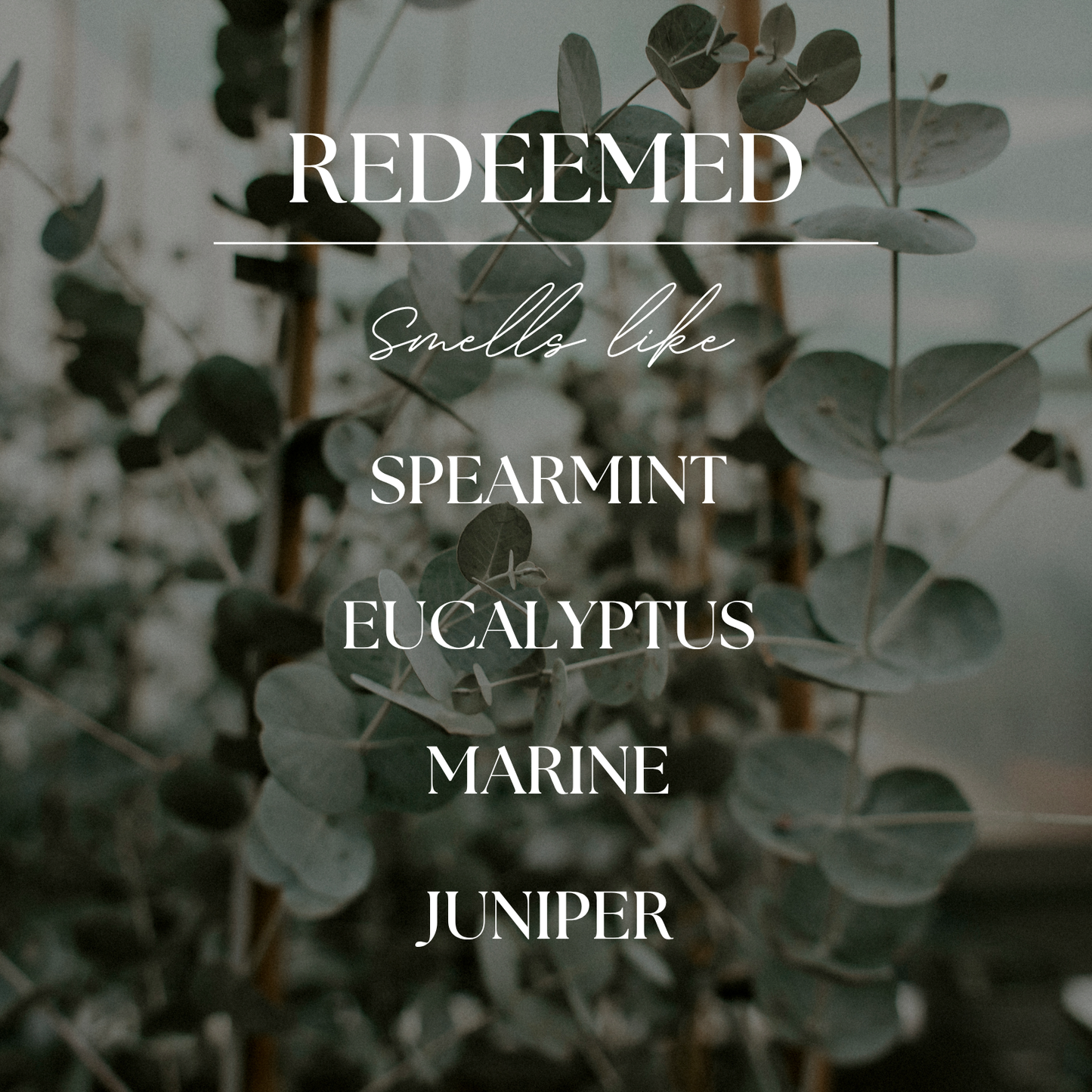 Redeemed | Eucalyptus & Mint | 9 oz. Clear Jar Soy Candle: Natural Wood Lid