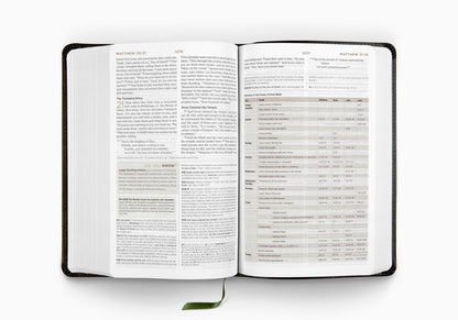 ESV Student Study Bible: Celtic Cross