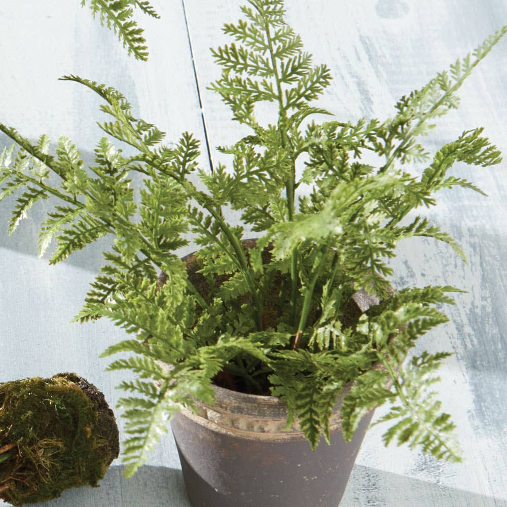 Soft Fern Drop-In 8.5"