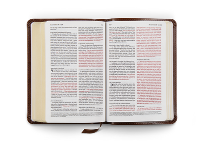 ESV Compact Bible, Red Letter, TruTone®, Brown