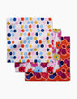 Carnival Fling Dishcloth Set