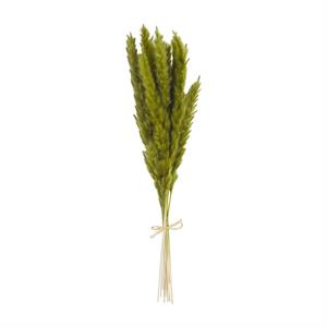 Fall Pampas Bundle