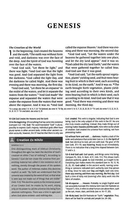 ESV Teen Study Bible Cliffside