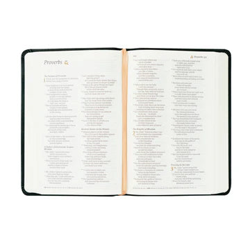 CSB Notetaking Bible- Jerusalem