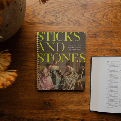 Sticks and Stones Spiral Bible Study