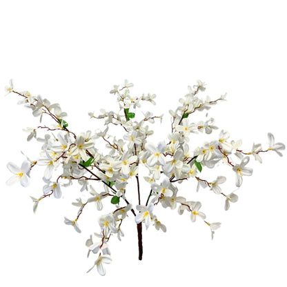 Tweedia Bush x 5 - 24” - Cream
