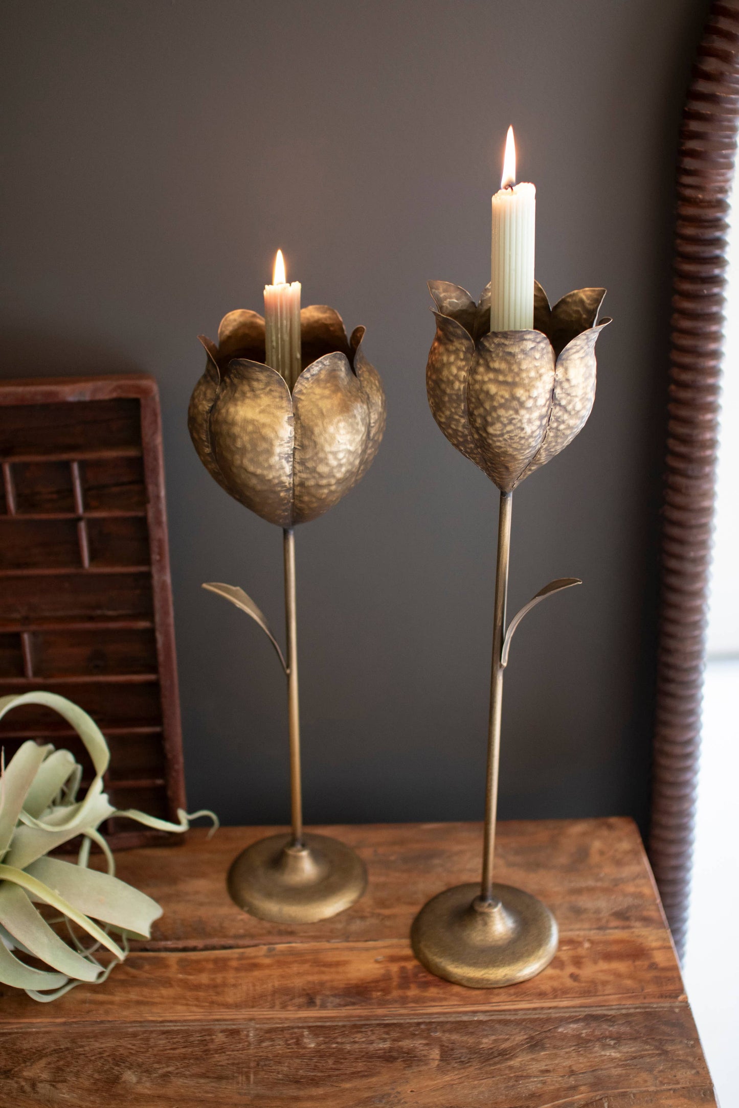 SET OF TWO ANTIQUE BRASS TULIP TAPER CANDLE HOLDERS: Gold / Metal / Large: 5" x 5.5" x 20.5"t; 
Small: 5" x 4.75" x 19"t
