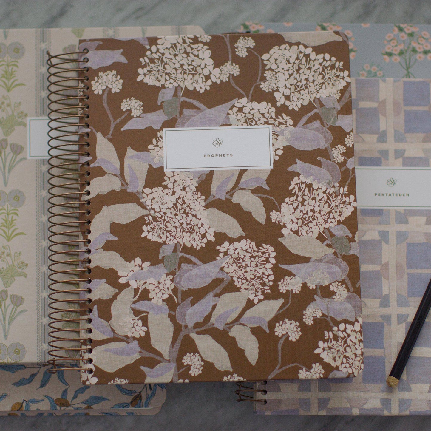 ESV Spiral-Bound Journaling Bible, Five-Volume Set, Artist