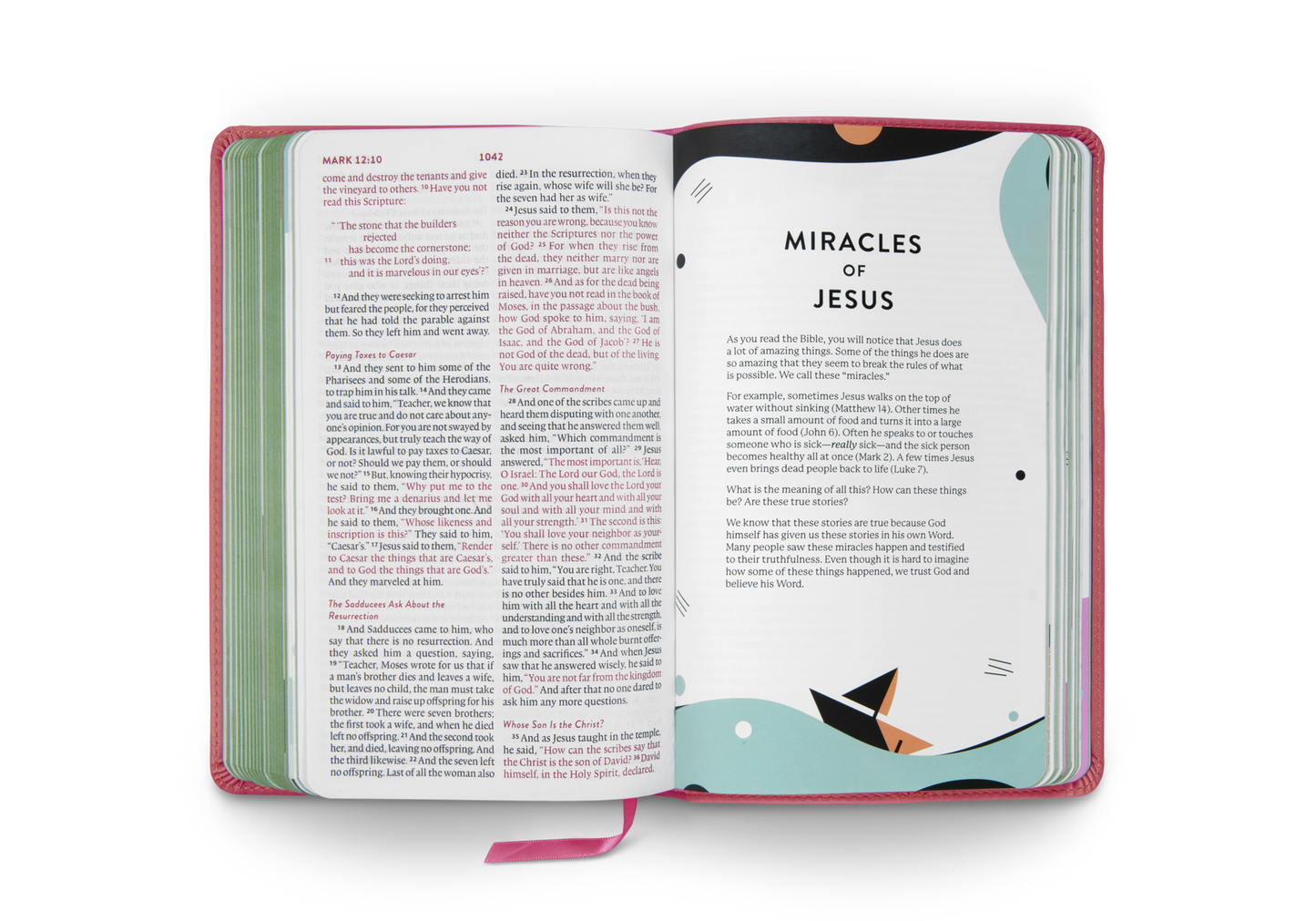 ESV Kid's Thinline Bible: Pink