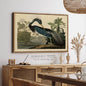 Louisiana Heron Audubon Illustration Framed Canvas Art 3: Black / 30 x 46 in