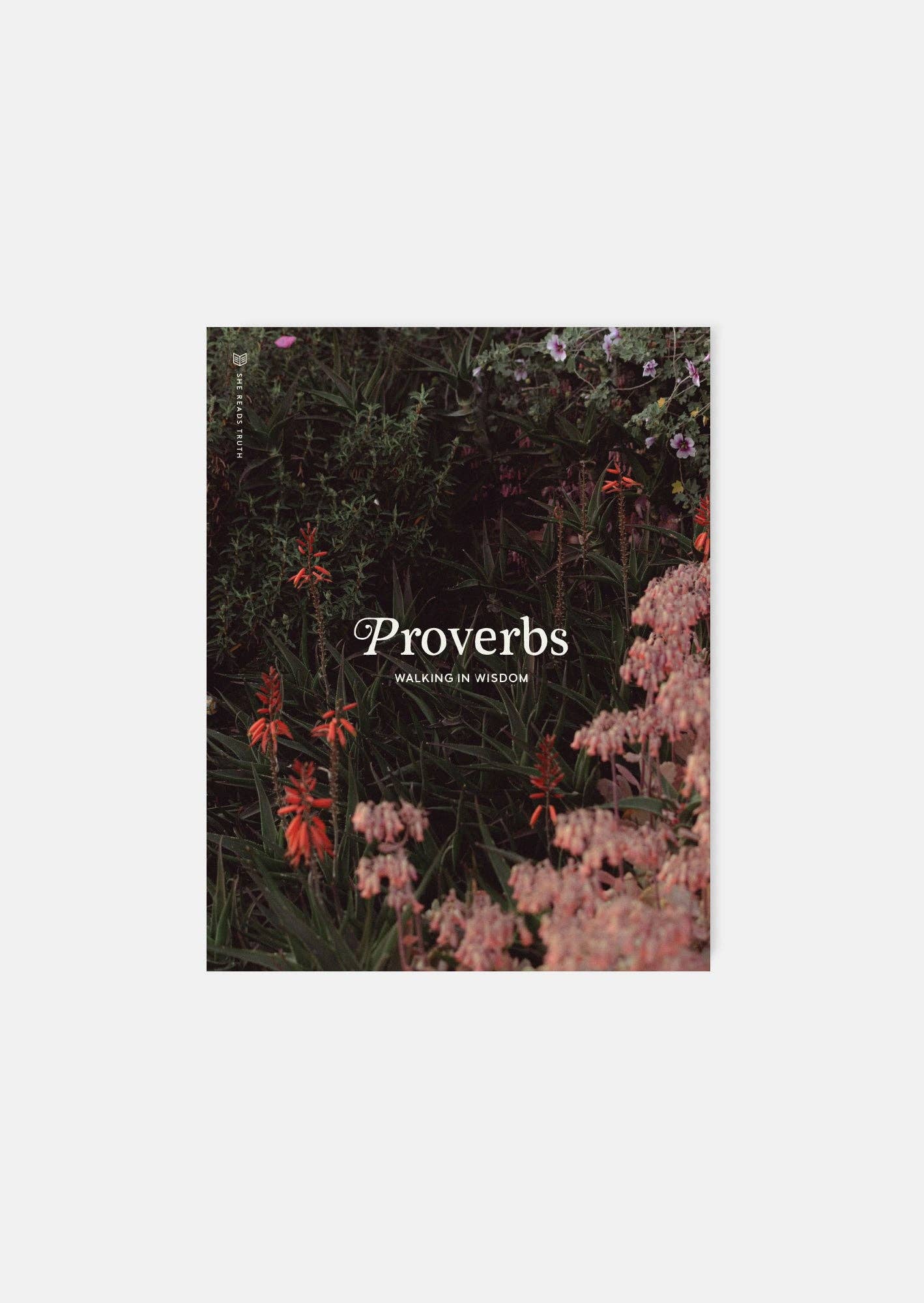 Proverbs: Walking in Wisdom Women's Reading Guide
