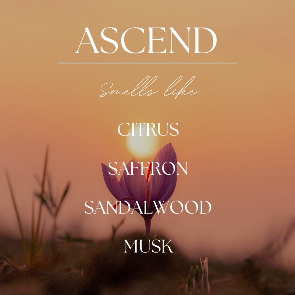 Ascend | Golden Santal | The Reverence Collection | 9oz: Natural Wood Lid