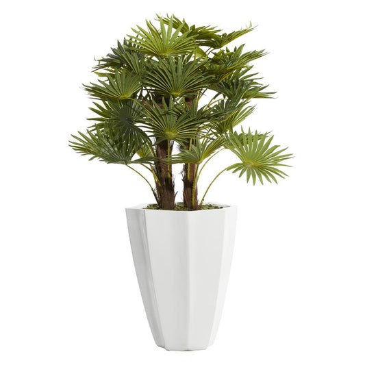 Palm Leaves with White Pot